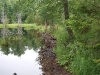 First beaver dam